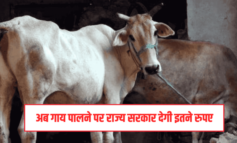 Cow Subsidy Yojana