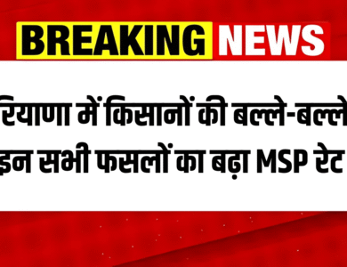 HARYANA MSP RATE 2025-26