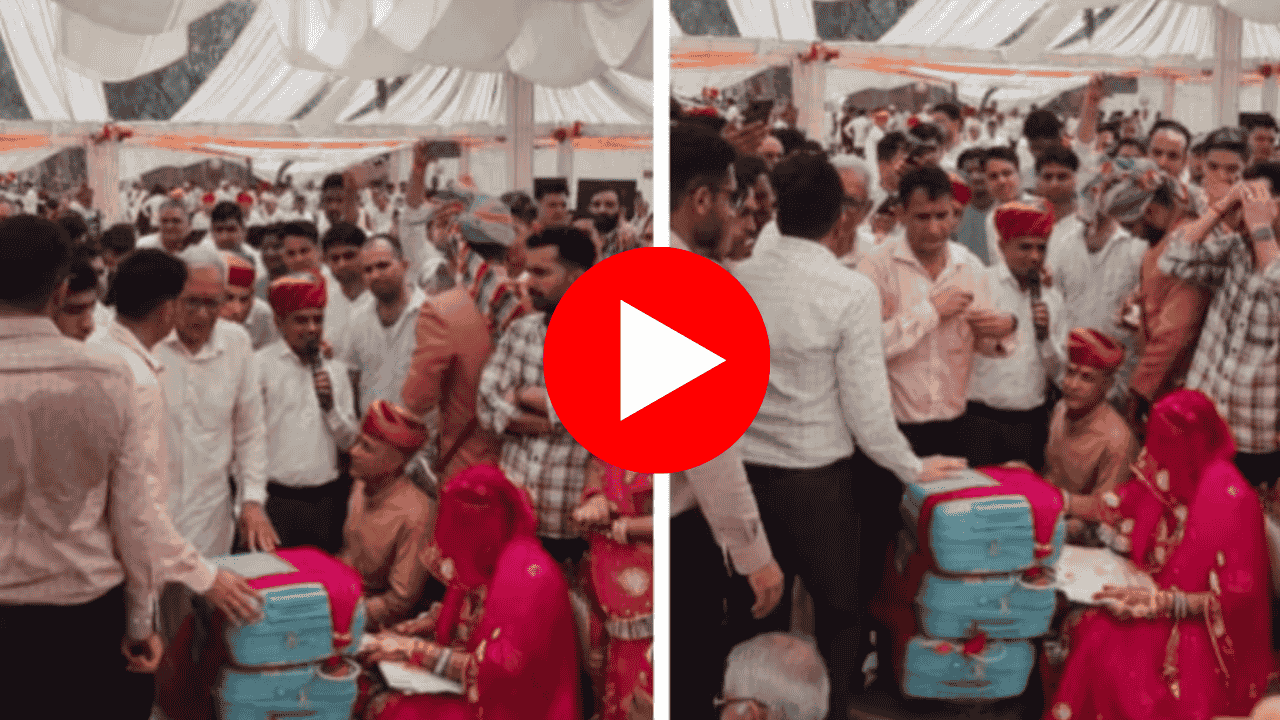 rajasthan mayra news