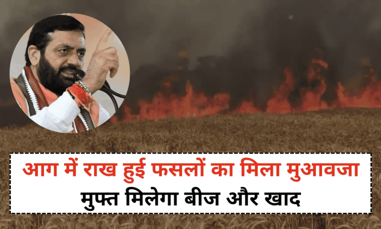 compensation for burnt crops,