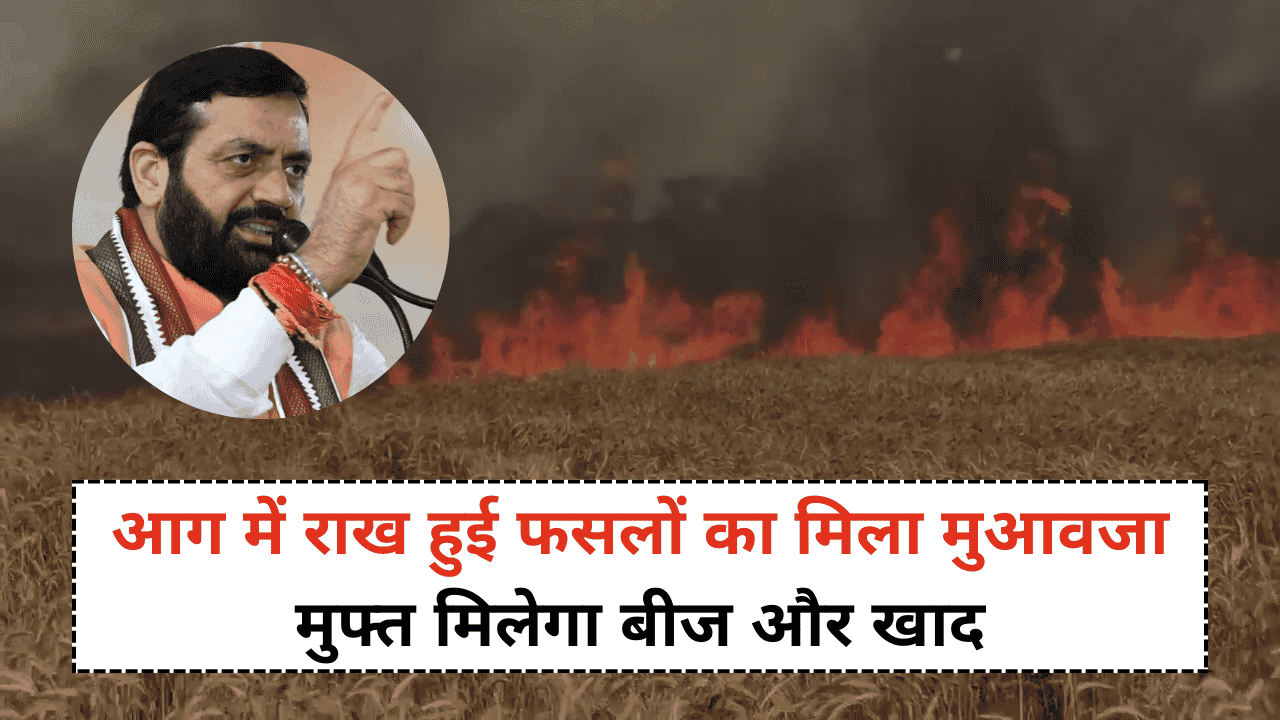 compensation for burnt crops,
