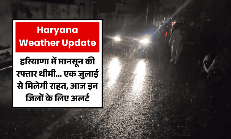 Haryana Rain Forecast